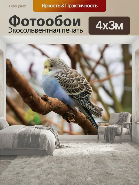 400 × 300 см · Экосольвентная печать
