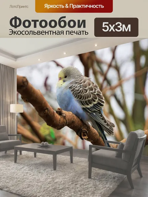 500 × 300 см · Экосольвентная печать