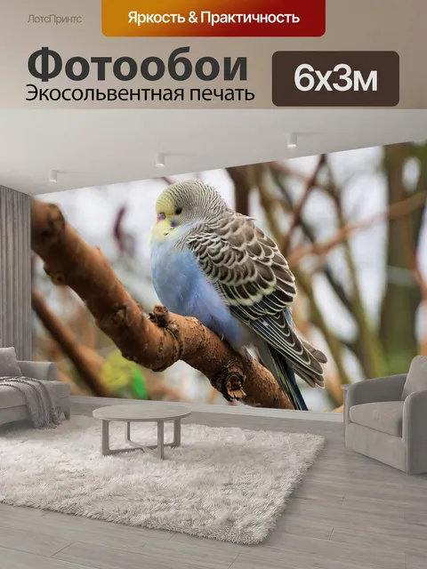 600 × 300 см · Экосольвентная печать