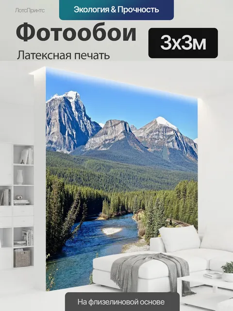 300 × 300 см · Латексная печать