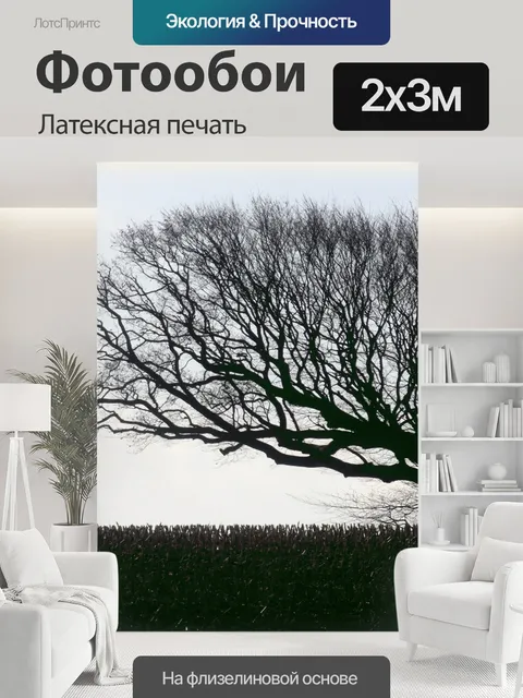 200 × 300 см · Латексная печать