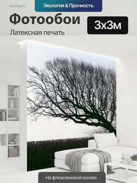 300 × 300 см · Латексная печать