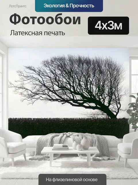 400 × 300 см · Латексная печать
