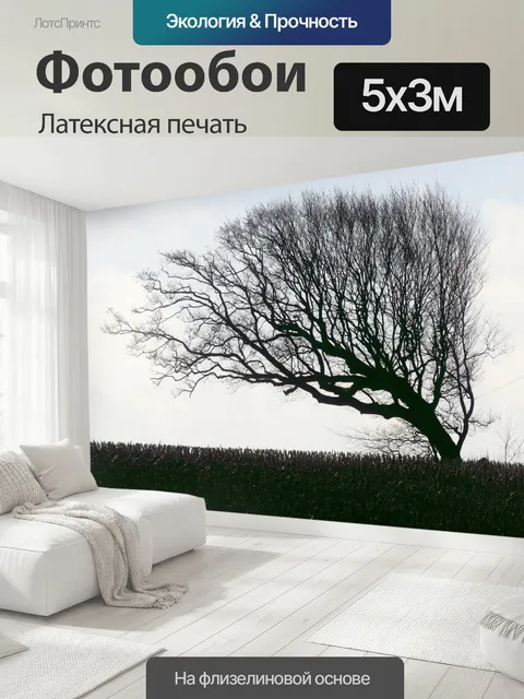 500 × 300 см · Латексная печать