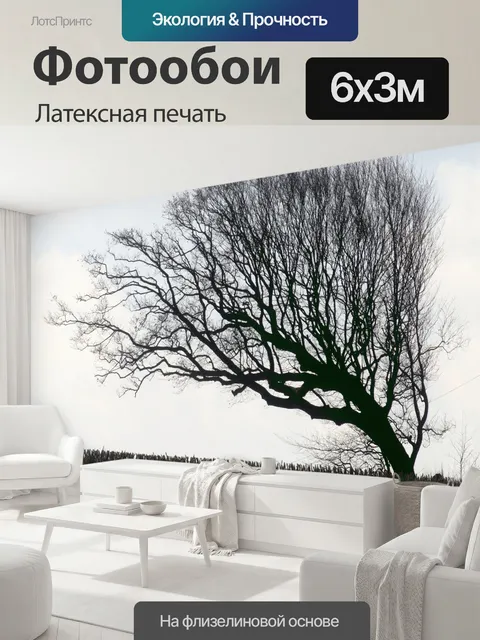 600 × 300 см · Латексная печать