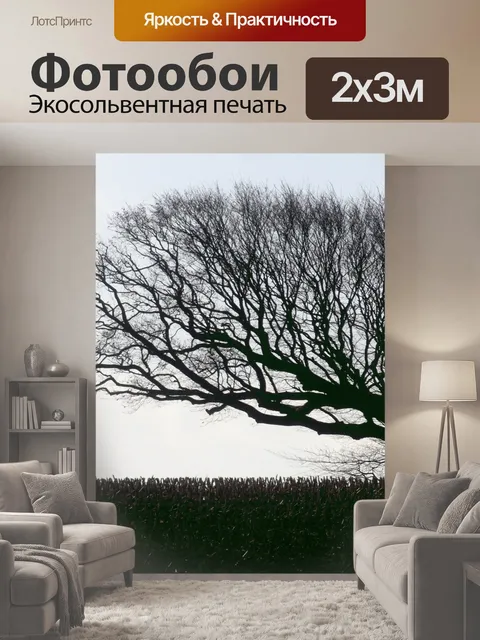 200 × 300 см · Экосольвентная печать