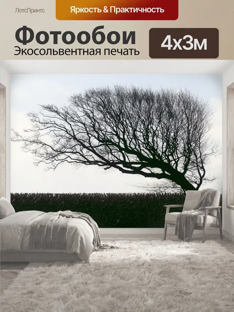 400 × 300 см · Экосольвентная печать
