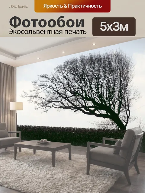 500 × 300 см · Экосольвентная печать