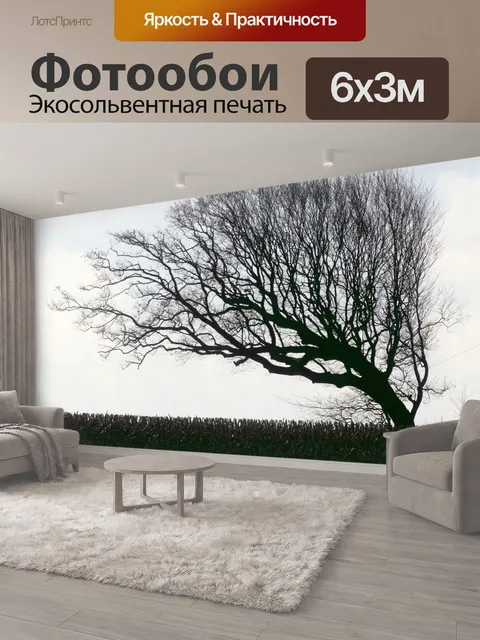 600 × 300 см · Экосольвентная печать