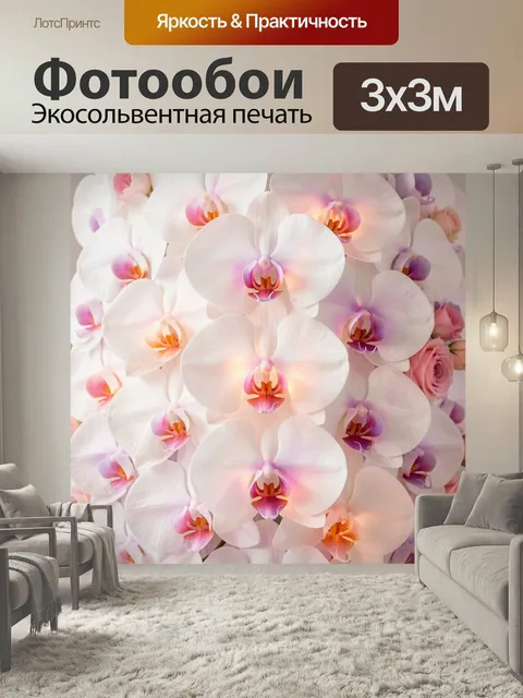 Фотообои Белые орхидеи с розовыми акцентами. Нежная флористическая композиция из крупных светлых орхидей с розово-фиол…