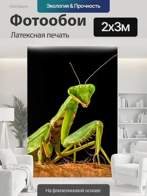 200 × 300 см · Латексная печать