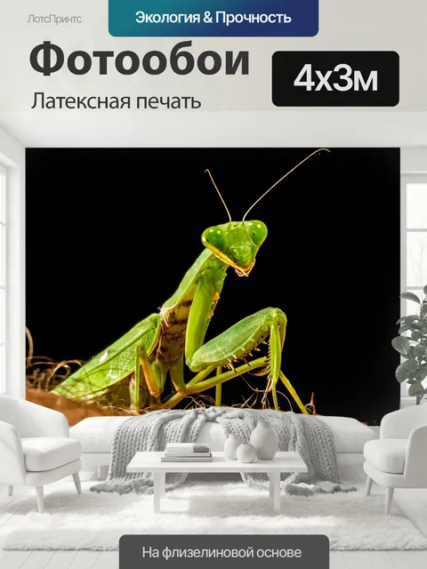 400 × 300 см · Латексная печать