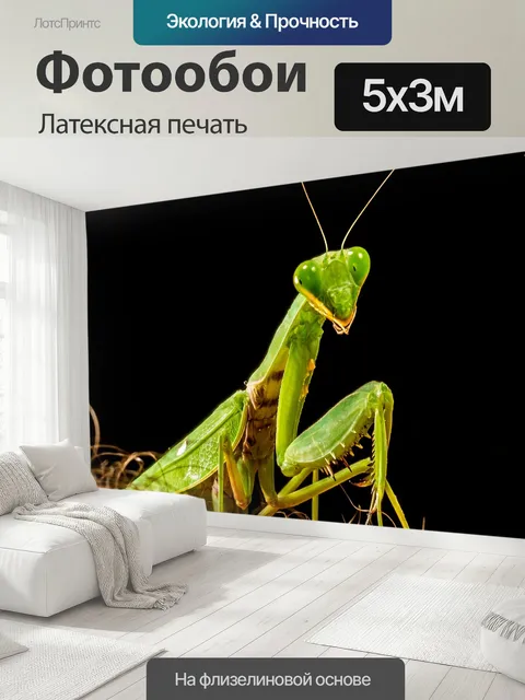 500 × 300 см · Латексная печать
