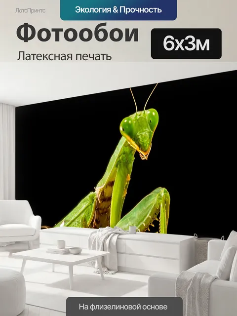600 × 300 см · Латексная печать