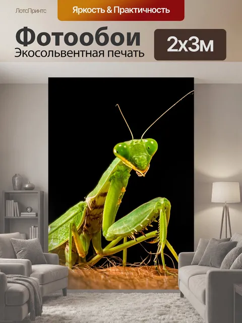 200 × 300 см · Экосольвентная печать