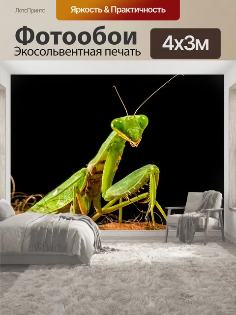 400 × 300 см · Экосольвентная печать