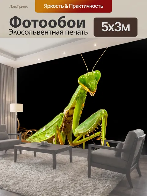 500 × 300 см · Экосольвентная печать
