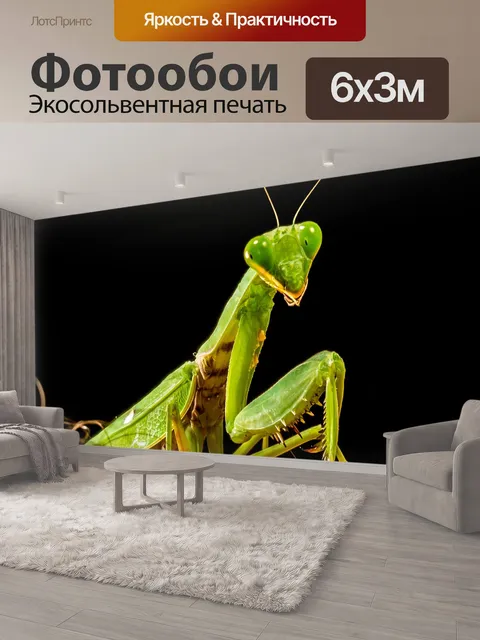 600 × 300 см · Экосольвентная печать