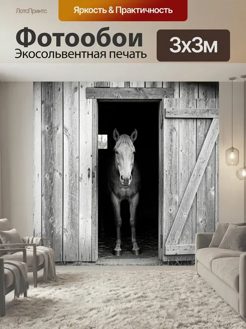 Фотообои Лошадь в дверном проеме. Черно-белый сельский сюжет: грациозный конь стоит в распахнутом деревянном сарае, вы…