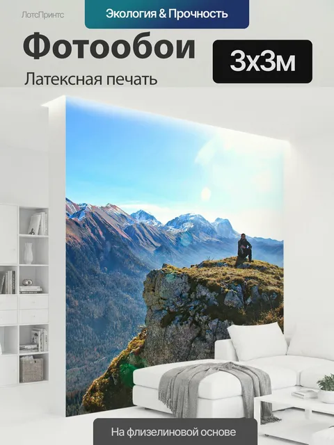 300 × 300 см · Латексная печать