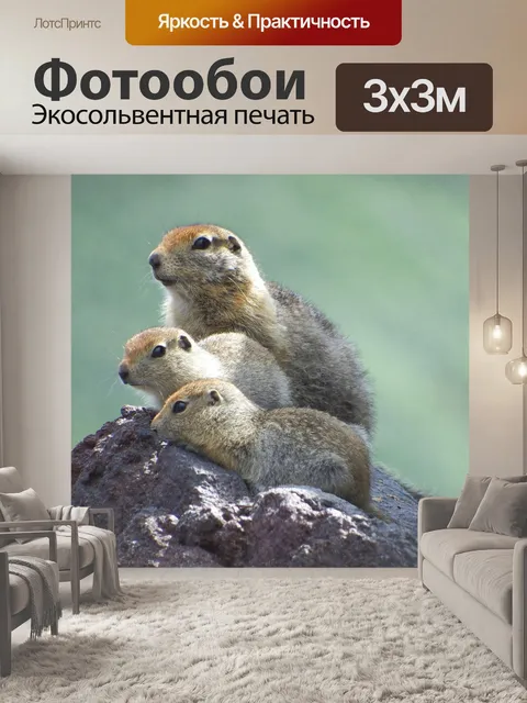 Фотообои Евражки, суслики, семейство