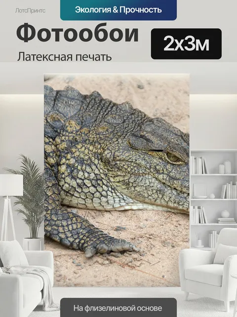 200 × 300 см · Латексная печать