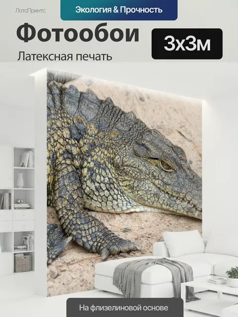 300 × 300 см · Латексная печать