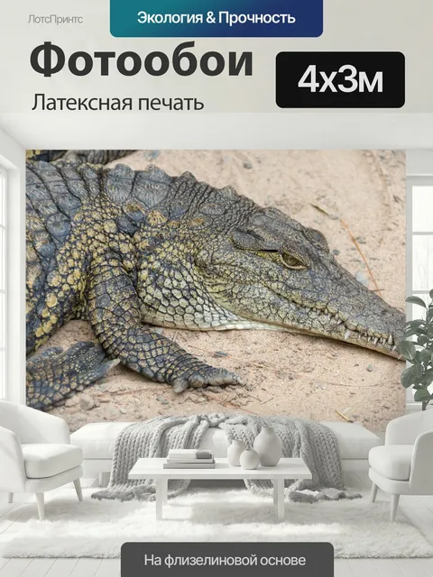 400 × 300 см · Латексная печать