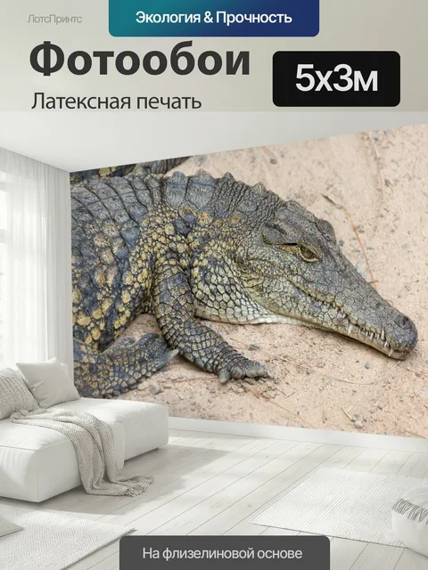 500 × 300 см · Латексная печать
