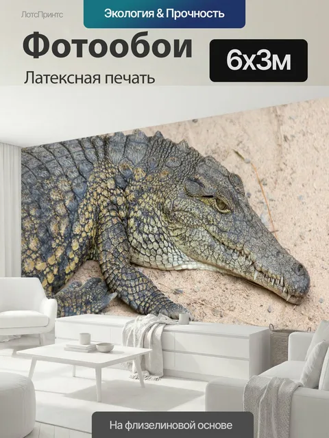 600 × 300 см · Латексная печать
