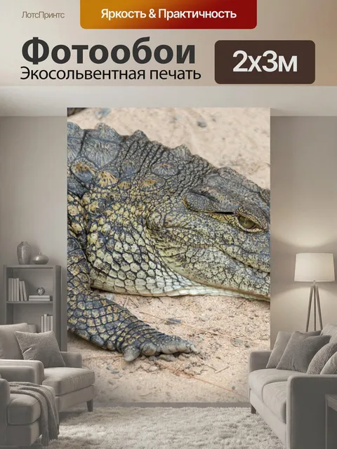 200 × 300 см · Экосольвентная печать