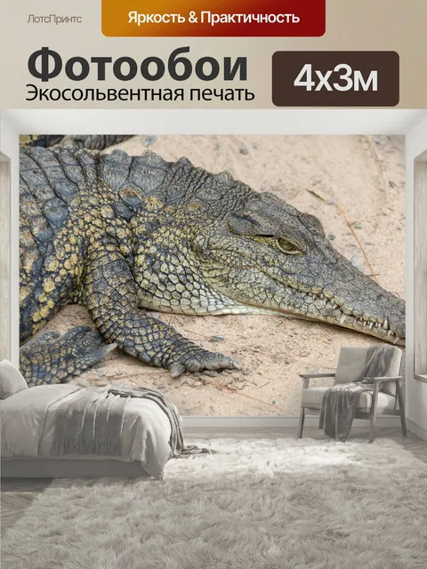400 × 300 см · Экосольвентная печать