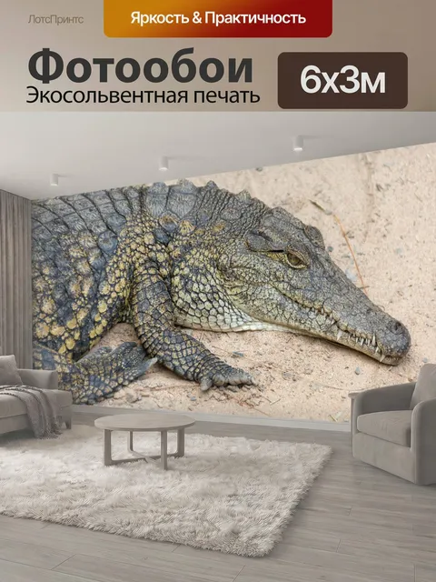 600 × 300 см · Экосольвентная печать