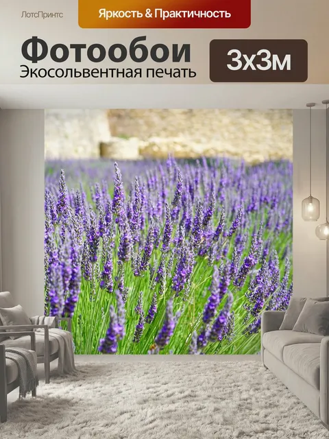 Фотообои Лаванда, цветок, расцветает