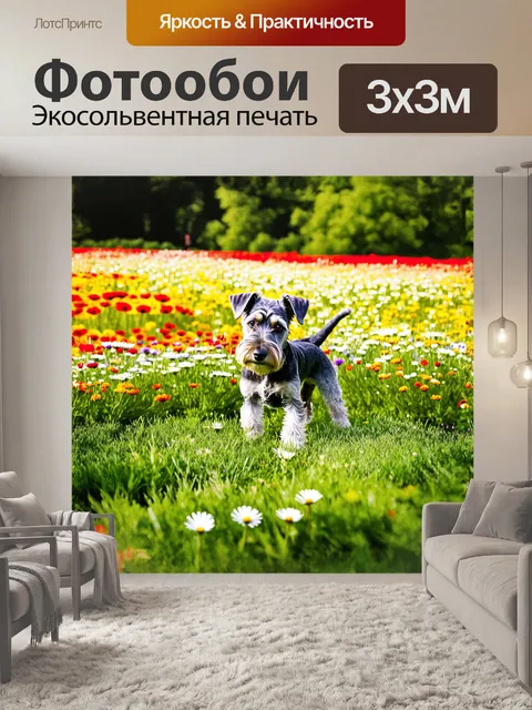 Фотообои Цвергшнауцер исследует живописный цветочный луг, окруженный яркими цветами и зелеными травами