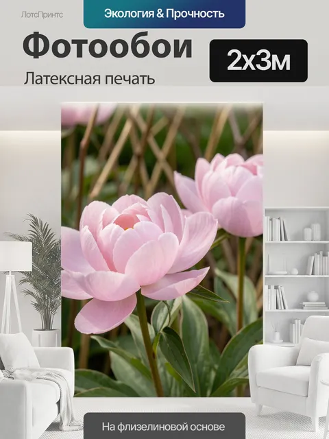 200 × 300 см · Латексная печать