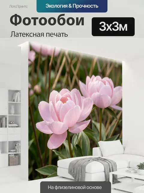 300 × 300 см · Латексная печать