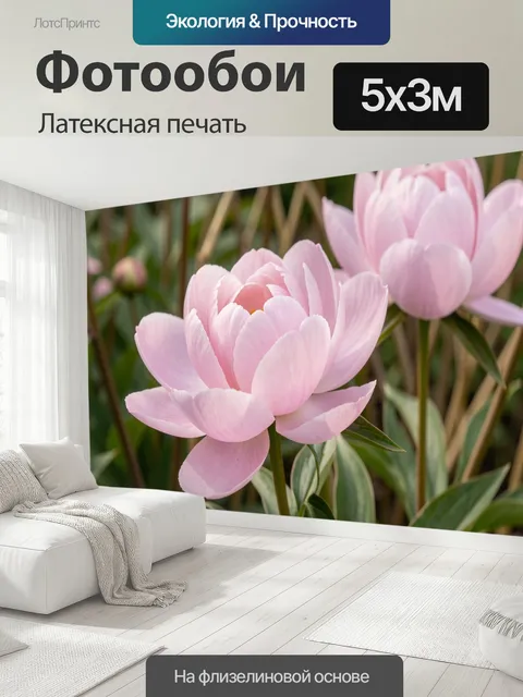 500 × 300 см · Латексная печать