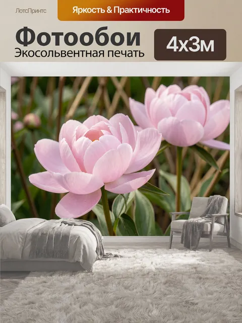 400 × 300 см · Экосольвентная печать