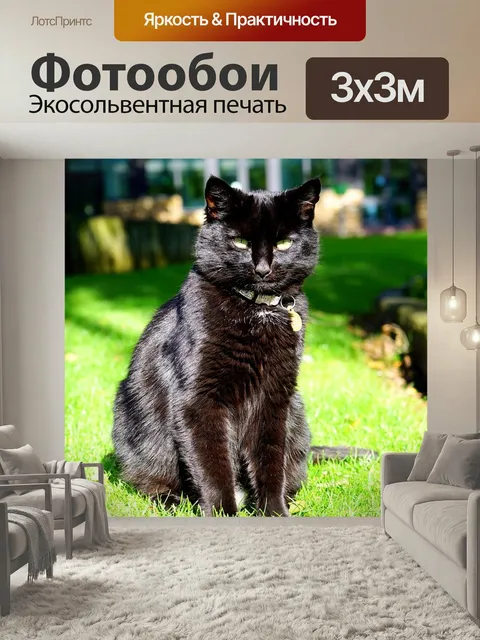 Фотообои Кошка, чернить, черный кот