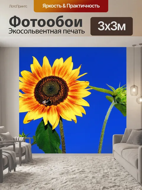 Фотообои Подсолнух, цвести, закрывать