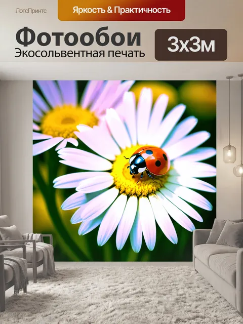 Фотообои Близкий план божьей коровки на цветке ромашки