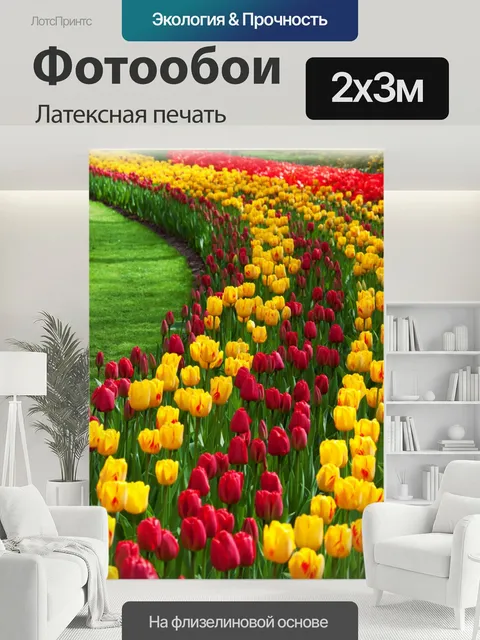 200 × 300 см · Латексная печать