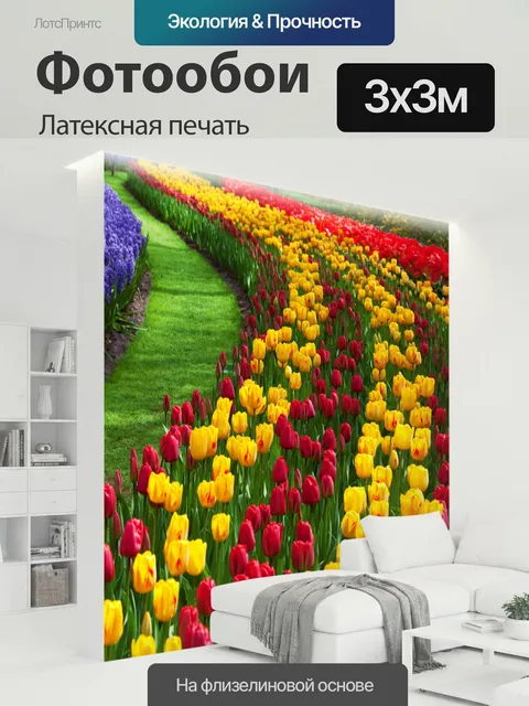300 × 300 см · Латексная печать