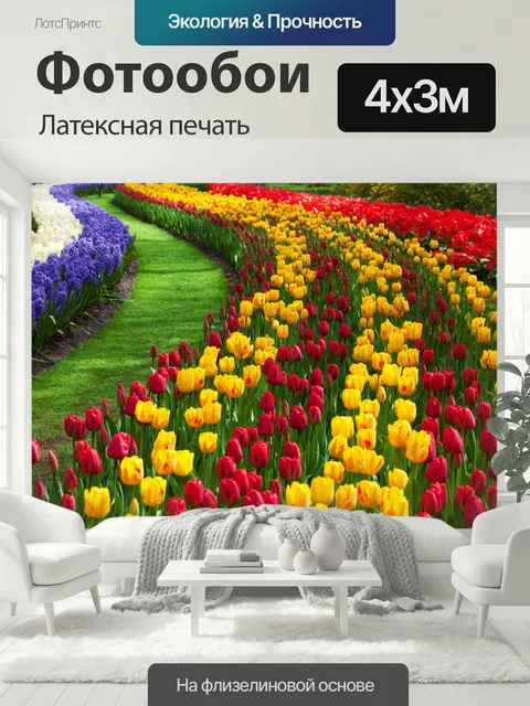 400 × 300 см · Латексная печать
