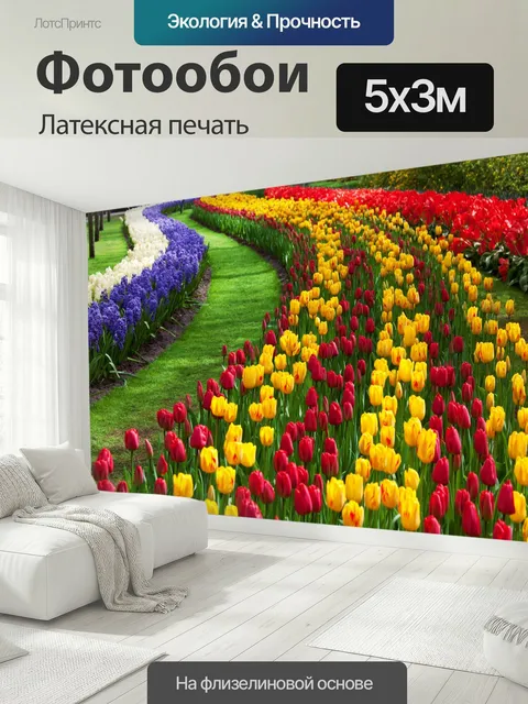 500 × 300 см · Латексная печать