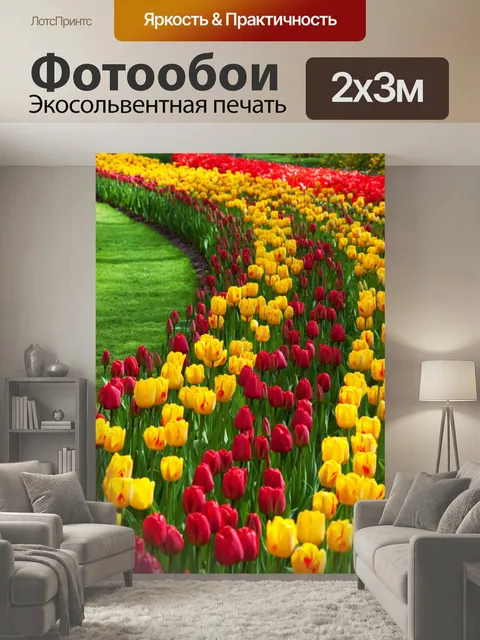 200 × 300 см · Экосольвентная печать