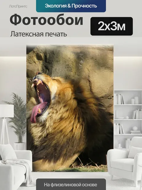 200 × 300 см · Латексная печать