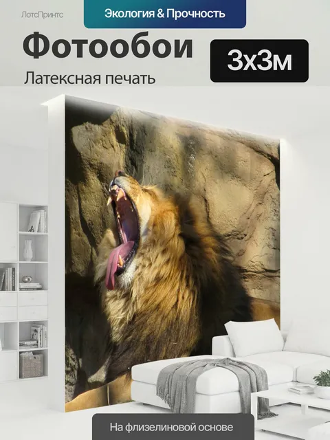 300 × 300 см · Латексная печать