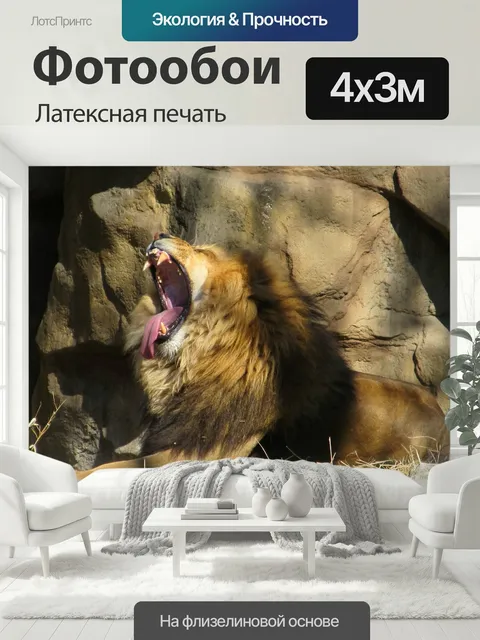 400 × 300 см · Латексная печать